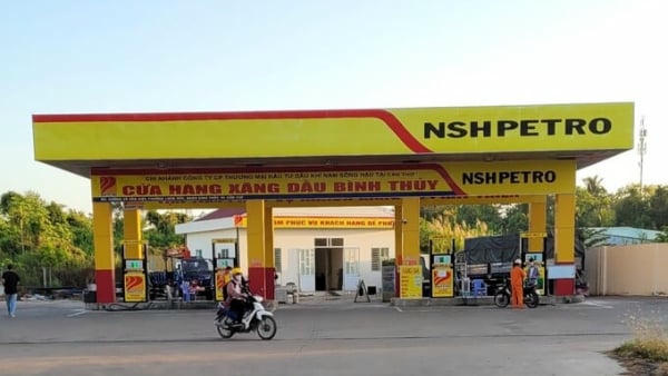 Vì sao NSH Petro liên tiếp bị xử phạt do vi phạm công bố thông tin?