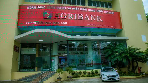 Agribank Bắc Đắk Lắk nói gì về năng lực trúng thầu của Công ty Sơn Tây?