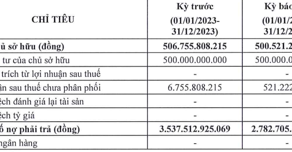 Công ty Mua bán nợ Thế hệ mới: Nợ giảm hơn 750 tỷ đồng, kinh doanh vẫn thua lỗ
