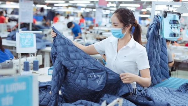 Mỗi tháng có 25,1 nghìn doanh nghiệp thành lập mới và quay trở lại hoạt động