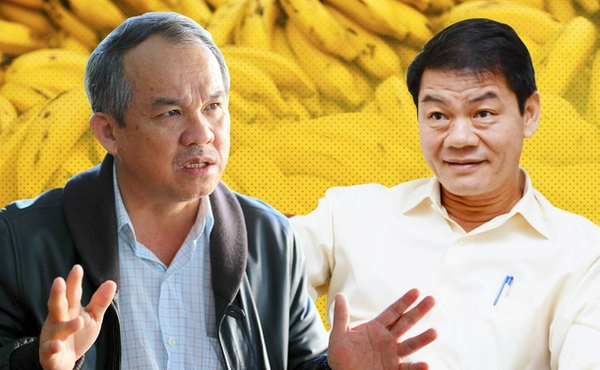 Đại gia cao su lấn sân nghề trồng chuối, cạnh tranh với bầu Đức và Thaco