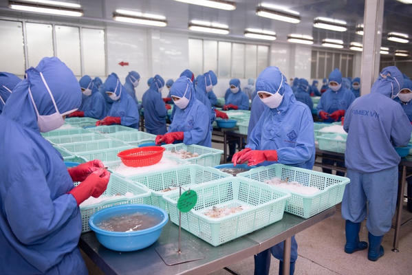 Thực phẩm Sao Ta (FMC): Doanh thu “giảm tốc” trong tháng 11, vay nợ tăng gấp đôi sau 9 tháng