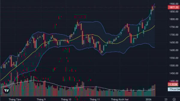 VN-Index tăng gần 10 điểm phiên 12/1