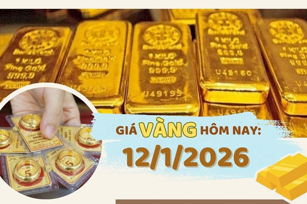 Giá vàng hôm nay 12/1: Lực mua mạnh, vàng chưa hết đà tăng