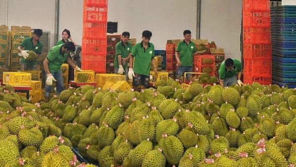 Siết an toàn thực phẩm toàn cầu, nông sản Việt cần sớm thích ứng