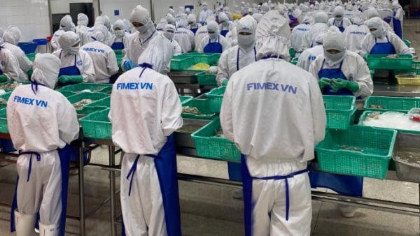 Doanh thu Thực phẩm Sao Ta giảm mạnh trong tháng 1/2026 Doanh thu Thực phẩm Sao Ta giảm mạnh trong tháng 1/2026