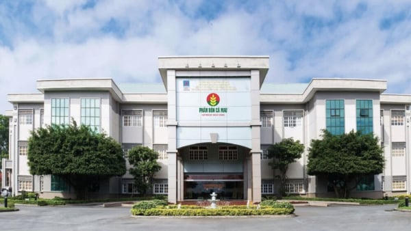 Chi nhánh Phân bón Dầu khí Cà Mau bị xử phạt hành chính về thuế