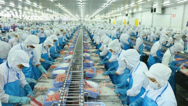 Vĩnh Hoàn bị HOSE nhắc nhở