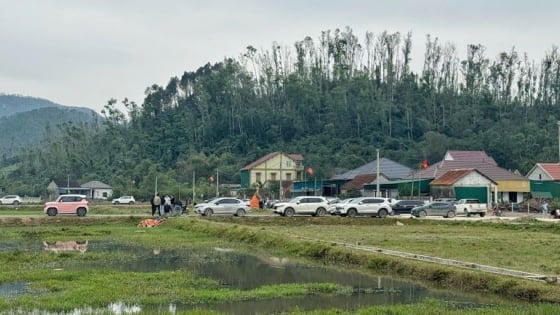 Ăn theo quy hoạch, đất Nghệ An “sóng nhanh, rút gọn”: Trúng đấu giá rồi bỏ cọc