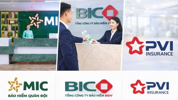 Trước kỳ thanh tra hoạt động bảo hiểm, BIC, MIC và PVI kinh doanh ra sao?
