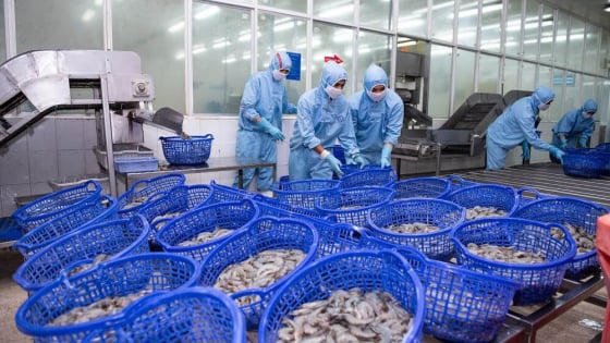 Doanh thu tháng đầu năm 2026 của Sao Ta giảm nhẹ