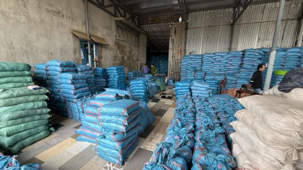 Khởi tố Giám đốc doanh nghiệp sản xuất hơn 1.700 tấn muối I-ốt giả tại Đắk Lắk