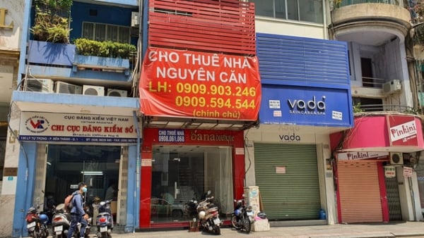 Hộ, cá nhân kinh doanh cho thuê bất động sản nộp thuế 5%