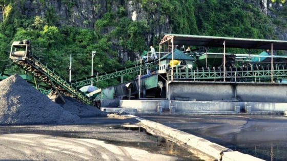 TQM – Đòn bẩy chiến lược nâng cao năng suất và thực tiễn từ doanh nghiệp