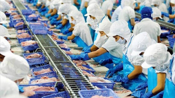 Doanh thu của Thủy sản Vĩnh Hoàn khởi sắc ngay tháng đầu năm Doanh thu của Thủy sản Vĩnh Hoàn khởi sắc ngay tháng đầu năm