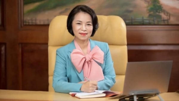 Vợ tỷ phú Phạm Nhật Vượng làm Chủ tịch Công ty GSM