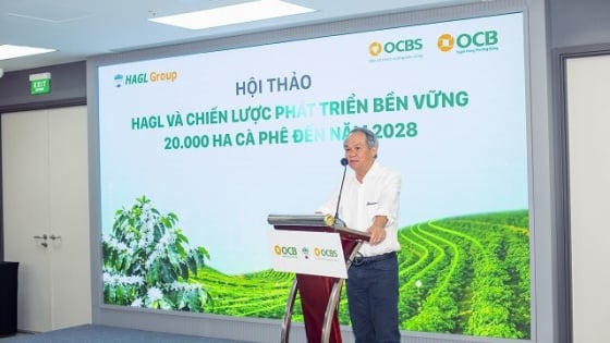 HAGL mở chu kỳ đầu tư mới với 20.000 ha cà phê