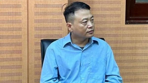 Shark Bình liên quan vụ Mr Pips lừa đảo hơn 1.300 tỷ đồng thế nào?