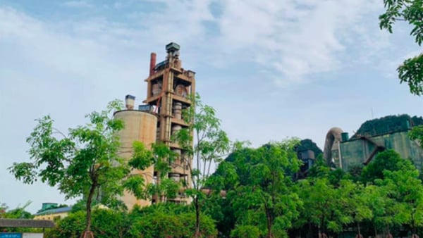 Không công bố thông tin, Công ty Xi măng Sông Lam 2 bị xử phạt