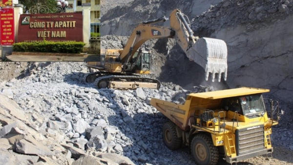 Apatit Việt Nam họp bất thường giữa biến động lãnh đạo, cổ phiếu giảm sâu