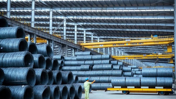 Dư nợ vay của Hòa Phát năm 2025 đạt 92.100 tỷ đồng Dư nợ vay của Hòa Phát năm 2025 đạt 92.100 tỷ đồng