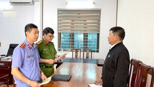 Khởi tố Phó Giám đốc Công ty Sơn Hải vì trốn thuế hơn 3,8 tỷ đồng