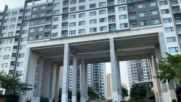 Ban quản trị New City Thủ Thiêm “ngâm” hàng tỷ đồng tiền dịch vụ