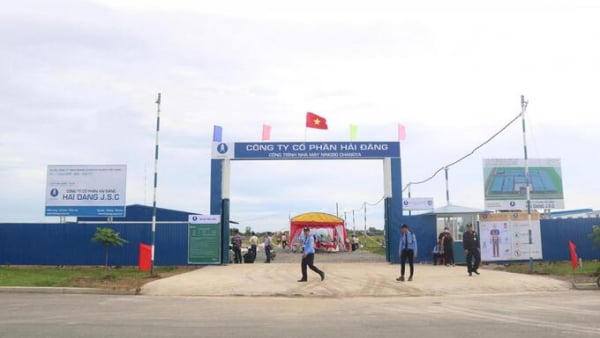 Công ty Cổ phần Hải Đăng bị cưỡng chế thuế hơn 75,1 tỷ đồng