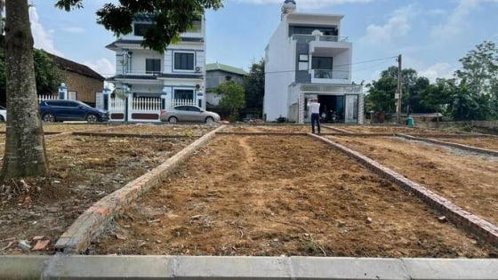 Đất nền Hà Nội “chững lại” rõ rệt, cơ hội cho người mua ở thực