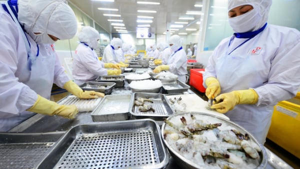 Xuất khẩu thủy sản đạt hơn 2,6 tỷ USD trong quý 1 Xuất khẩu thủy sản đạt hơn 2,6 tỷ USD trong quý 1