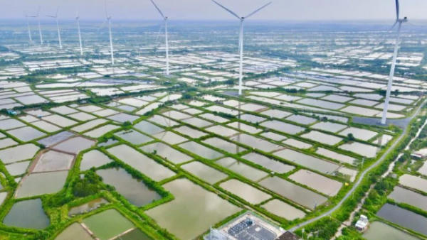 Nhiều doanh nghiệp điện gió, điện mặt trời rơi vào vòng xoáy thua lỗ kéo dài