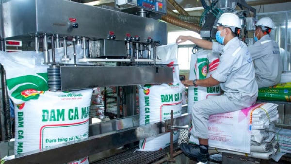 Công ty con của Phân bón Cà Mau vào “tầm ngắm” kiểm tra thuế