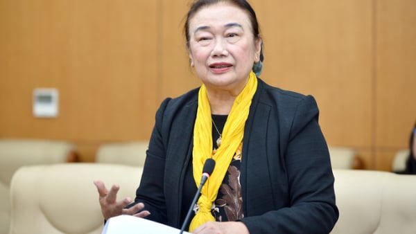 Chủ tịch VTCA: Không nên quay lại thuế khoán, nên giao Chính phủ điều chỉnh mức doanh thu chịu thuế