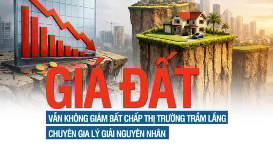Giá đất vẫn không giảm bất chấp thị trường trầm lắng, chuyên gia lý giải nguyên nhân