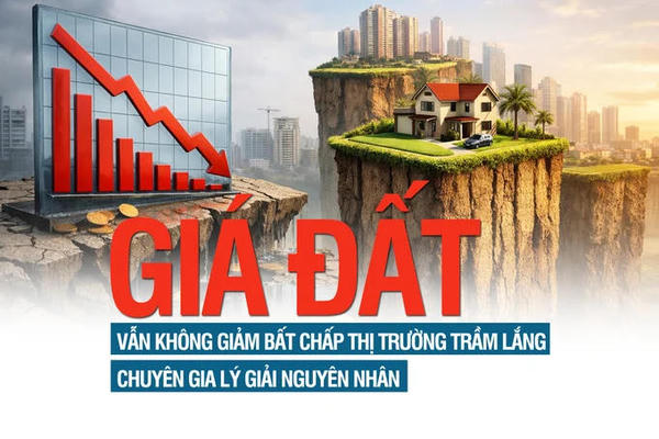 Giá đất vẫn không giảm bất chấp thị trường trầm lắng, chuyên gia lý giải nguyên nhân