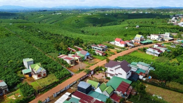 Thuế Hà Nội hướng dẫn cách tính tiền sử dụng đất khi chuyển mục đích sử dụng