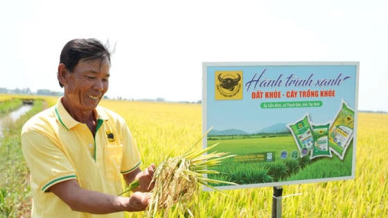 Bình Điền trả cổ tức năm 2025 bằng tiền 3.500 đồng/cổ phiếu