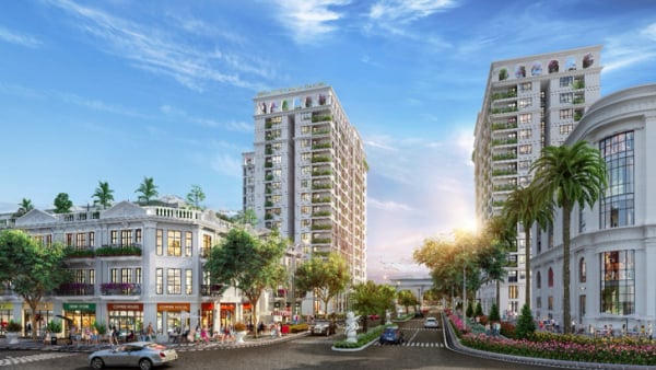 CEO Group đặt mục tiêu tăng trưởng gấp đôi doanh thu năm 2026