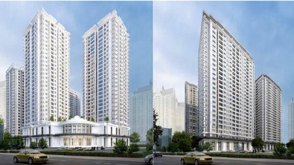 Vimedimex thông tin về một số nội dung liên quan dự án Iris Garden