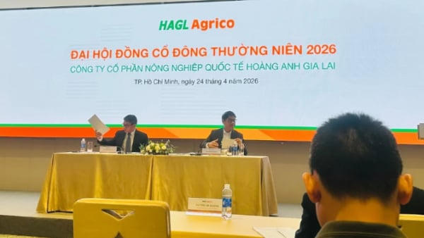 Lỗ kéo dài, tỷ phú Trần Bá Dương muốn bán 20% vốn tại HAGL Agrico