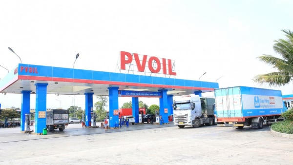 PVOIL bị phạt gần 1,6 tỷ đồng vì vi phạm thuế