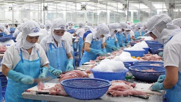 Xuất khẩu thủy sản khởi sắc, đối mặt áp lực cạnh tranh và rào cản mới