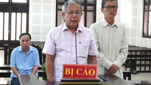 Lý do giám đốc Công ty Hoàng Thông lãnh án 12 năm tù