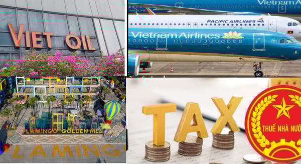 Xuyên Việt Oil, Golden Hill, Pacific Airlines bị công khai nợ thuế hàng trăm tỷ đồng