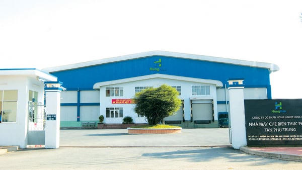 Chủ tịch HĐQT Nông nghiệp Hùng Hậu nguy cơ bị tạm hoãn xuất cảnh