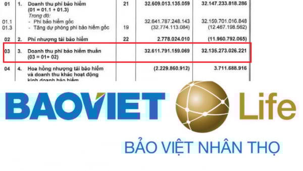 Bảo Việt Nhân thọ lỗ gộp mảng bảo hiểm, chi hơn 96% tài sản đầu tư tài chính