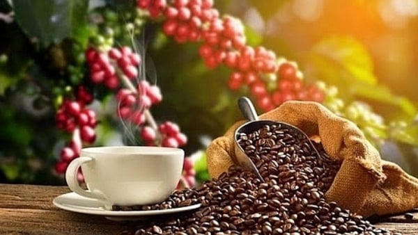 Cà phê, hồ tiêu đồng loạt quay đầu giảm mạnh