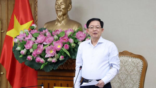 Sửa đổi Luật Đất đai cần tối ưu các chính sách tài chính đất đai, quy hoạch và sử dụng đất