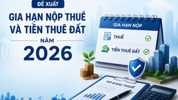 Đề xuất gia hạn thời hạn nộp thuế và tiền thuê đất năm 2026