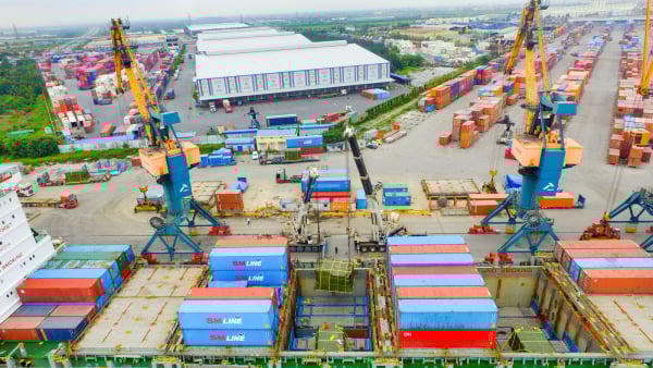 Vận tải và Xếp dỡ Hải An sắp phát hành 3,5 triệu cổ phiếu ESOP